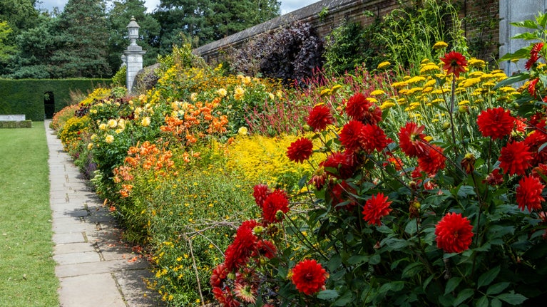 Bright red and orange flowers in a border against a wall with a slim tower in the background